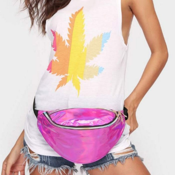 Holographic Fanny Pack Model